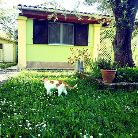 House!!! Apartment Sfakera